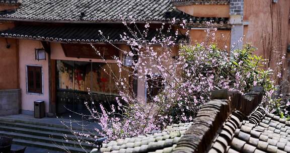 春天古风建筑旁盛开的桃花