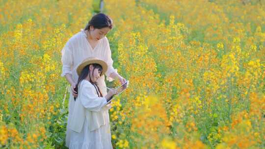 大片油菜花亲子田海开视频春天母女欢乐时光