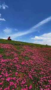 自然风景，山水如画，人间仙境美如画