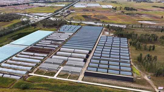 阳高县现代农业智慧大棚