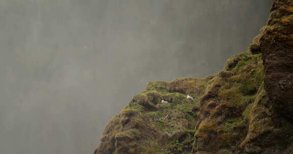 悬崖，水鸟，水喷雾，Skogafoss