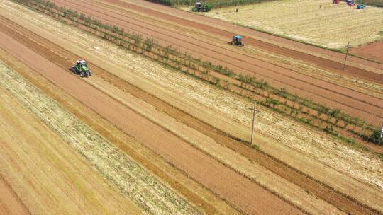 陕西农村丰收季节收割玉米播种机1视频素材模板下载