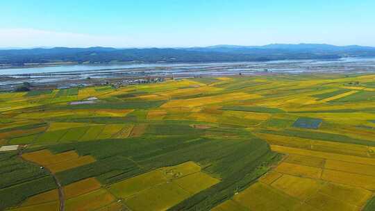 航拍松花江湿地和大地稻田