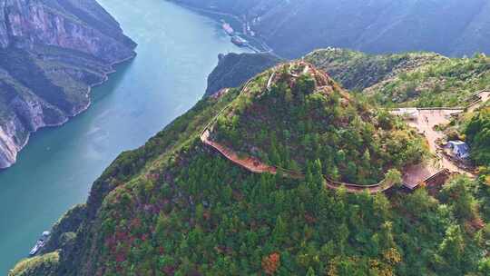 三峡红叶