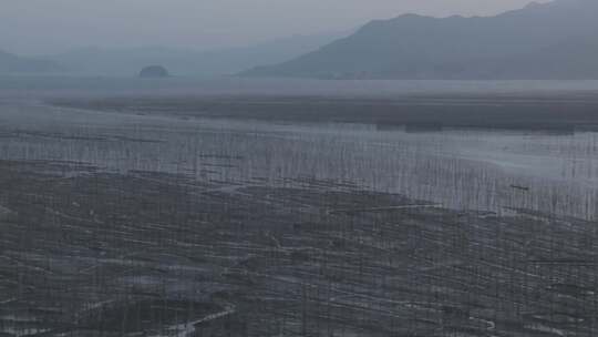 J广东惠州惠东海龟湾沙滩实拍视频