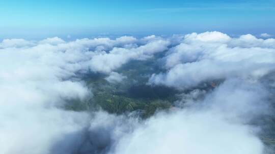 高山云海