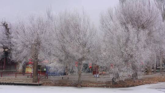 冬季公园湖岸树林雾凇雪景