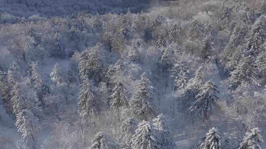 航拍吉林省吉林市北大湖滑雪场冬季风光