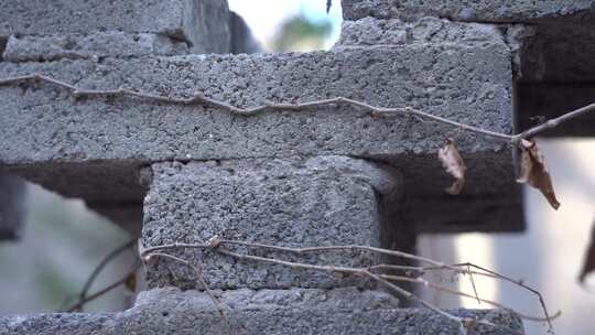 砖 瓦 建筑 居住 生活 农村 年代