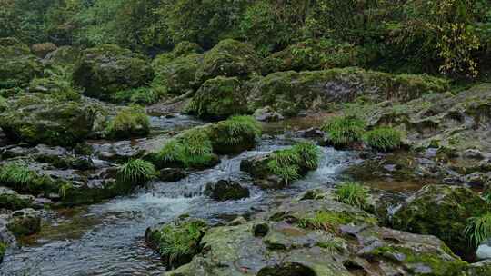 石头青苔溪涧小溪流水