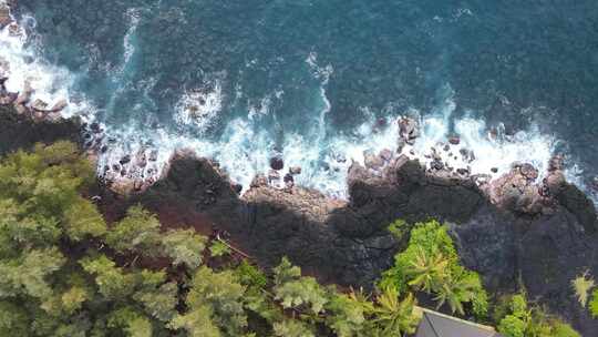 鸟瞰夏威夷海浪拍打礁石与灌木