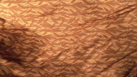 条纹丝绸织物飘动 (2)