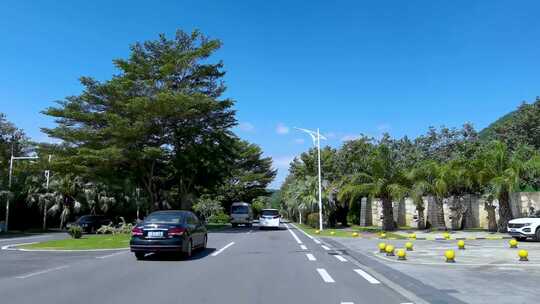 公路行驶实拍路边树木