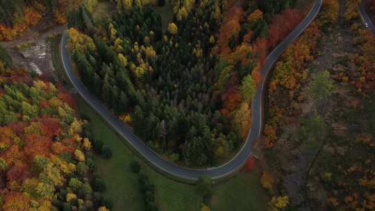 秋天蜿蜒道路的鸟瞰图