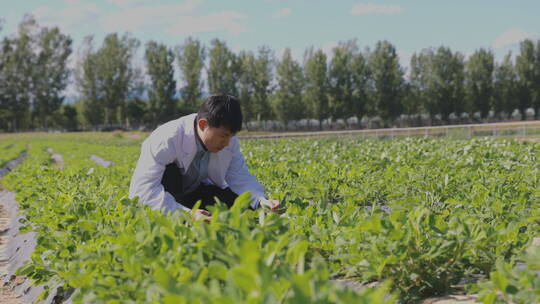 科研人员和农民在田里交流技术