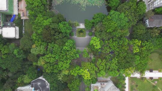 重庆北碚西南大学共青团花园景观航拍