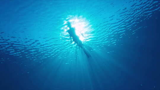 女人在热带海洋水下游泳，慢慢移动