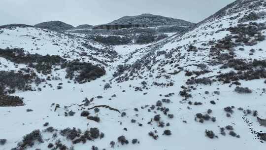 贵州威宁百草坪阴天雪景