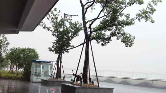 杭州钱塘江江东大桥下暴雨视频素材