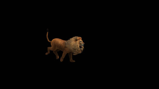狮子 跑 奔跑 三维 跑步