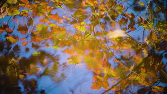 新英格兰河流中反射出的美丽的秋季树叶