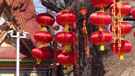 春节民族园挂红灯笼