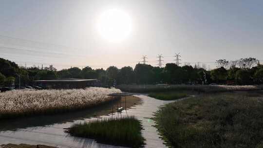 4K航拍城市郊区日出生态村庄芦苇荡