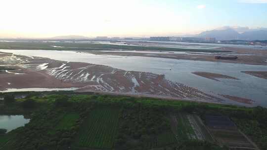 航拍闽江小岛果园茉莉花田沙洲湿地河汊白鹭