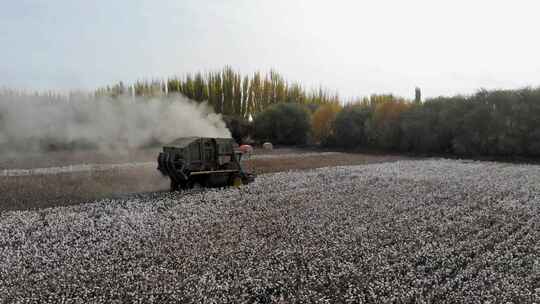 航拍新疆棉花收获 跟随打包采棉机田地工作