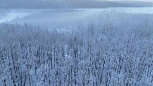 林海雪原雾凇暖阳