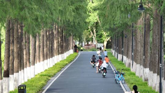 航拍武汉东湖风景区视频素材模板下载