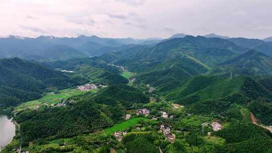 航拍江南浙江山区竹林竹海竹山