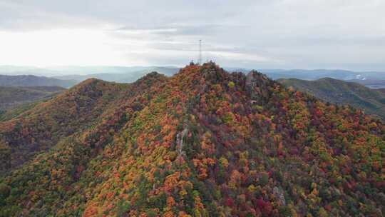 秋天五花山森林黑龙江小兴安岭林区航拍