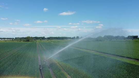 草地农业灌溉系统乡村振兴新农村建设三农业