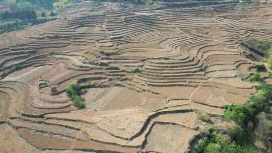 云南山区农业种植耕地航拍