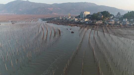 福建霞浦滩涂