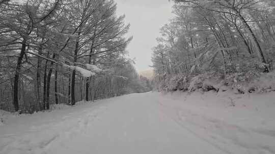 行驶在林海雪原的雪路上