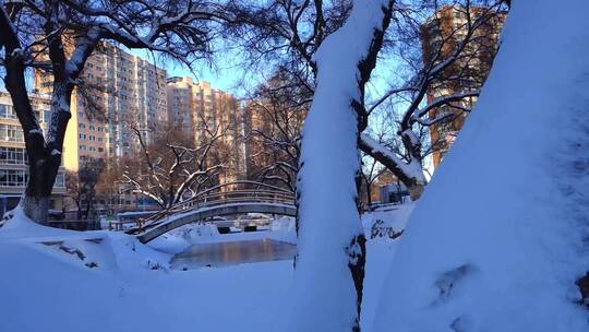 冬天公园老树小河雪景