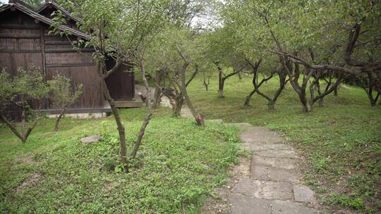 杭州西溪国家湿地公园雸雪屋