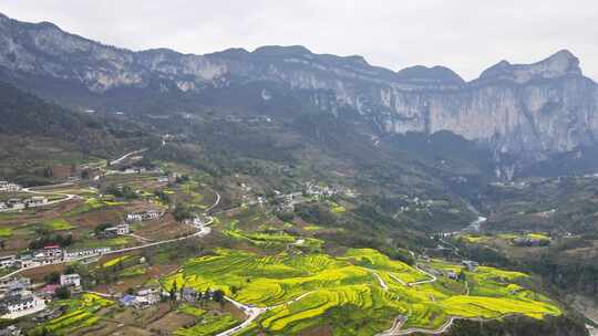 湖北恩施5A景区大峡谷绝壁花海航拍