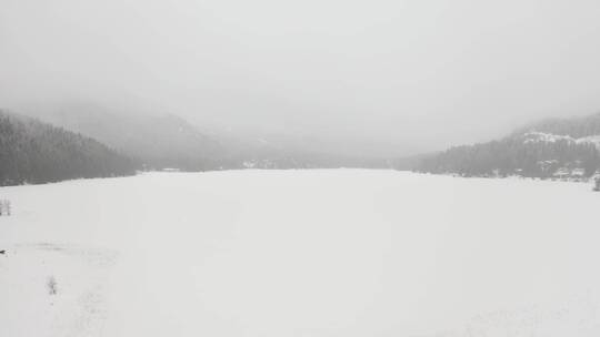 雪域平原