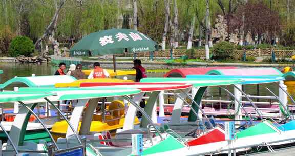公园 滕州 荆河公园 划船 坐船