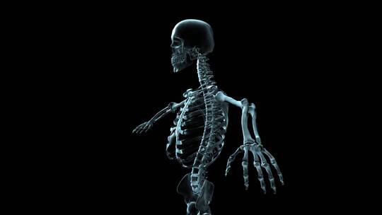 人类钢架结构旋转的3D医学动画