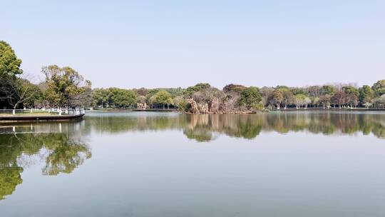 4k 植物园初春景象