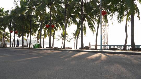 海边公路和椰树视频素材模板下载