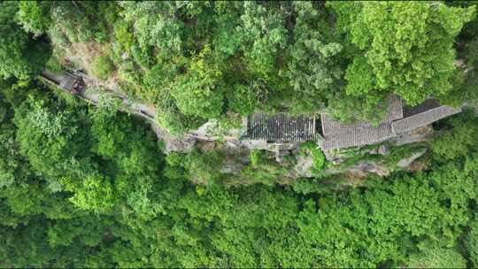 湖北武当山俯拍树木航拍