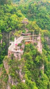 唯美意境，旅行，慢闪的绿意，治愈，风景