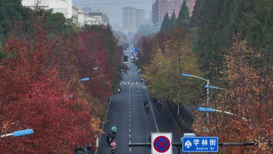 杭州钱塘区学林街秋景航拍