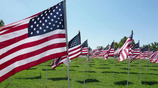 公园微风中飘扬的美国国旗
