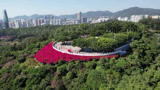 深圳市民中心航拍